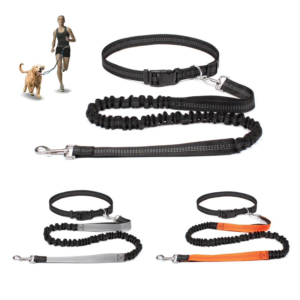 Hand Free Dog Leash for Pet Walking Running or Jogging.