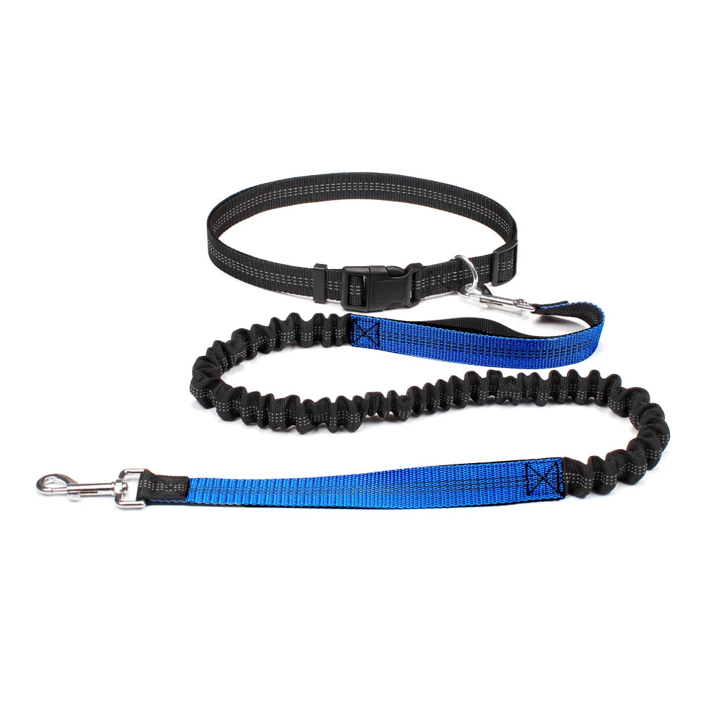 Hand Free Dog Leash for Pet Walking Running or Jogging.