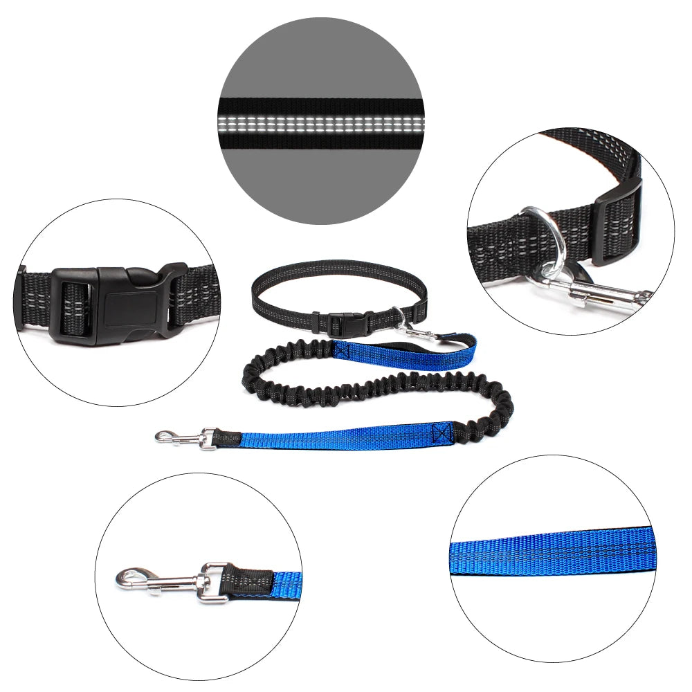 Hand Free Dog Leash for Pet Walking Running or Jogging.