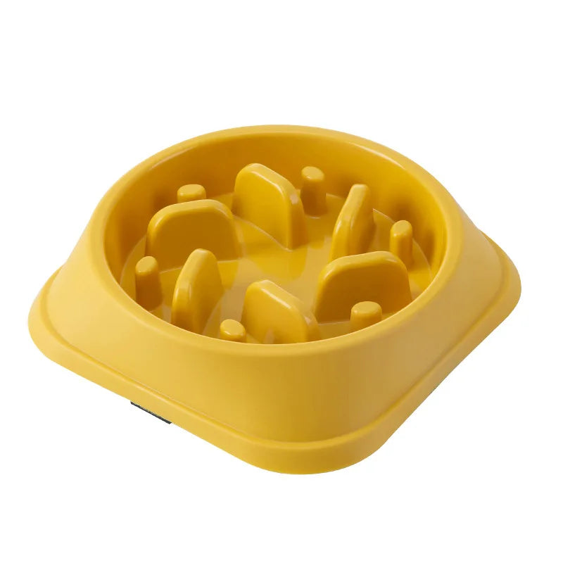 dog and cat bowl for slower eating and healthier life