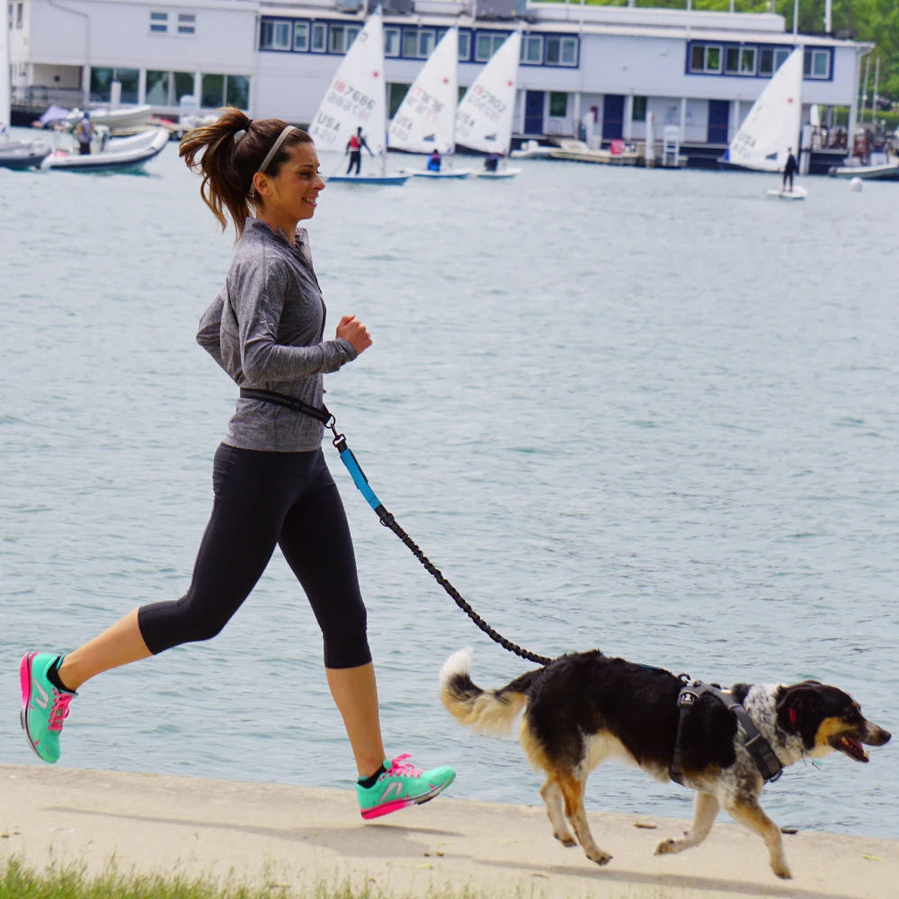 Hand Free Dog Leash for Pet Walking Running or Jogging.