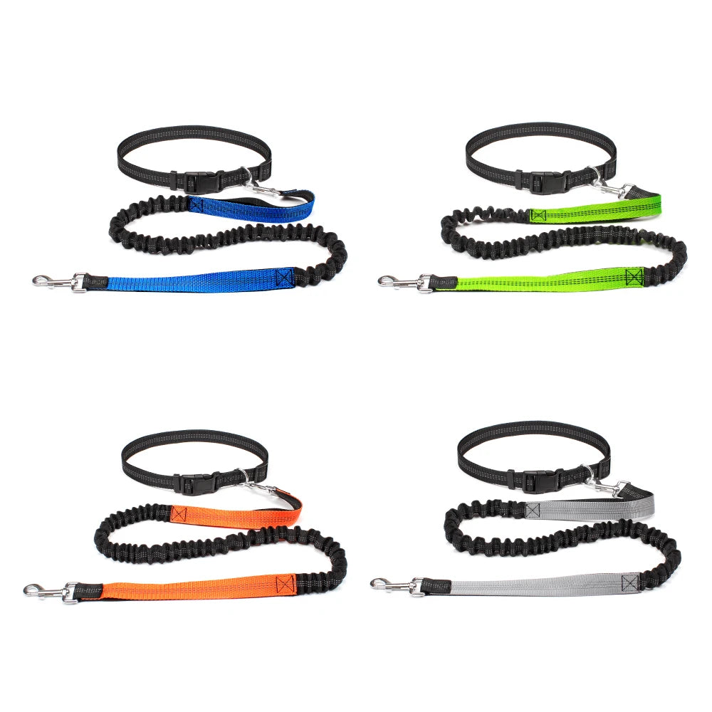 Hand Free Dog Leash for Pet Walking Running or Jogging.